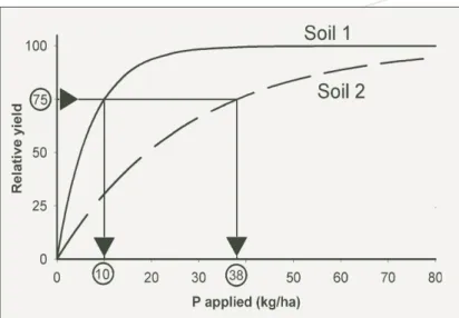Figure 2. The yield response curve, which is the relationship between plant yield, here expressed as a percentage of the maximum (relative) yield, and the amount of P applied in the year of application for two newly-cleared soils with no previous P fertili