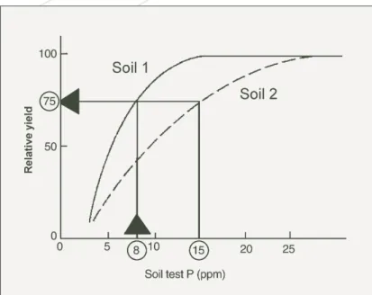 Figure 5. The yield response curve, which is the relationship between plant yield and the amount of fertiliser P applied to newly-cleared soil with no previous P fertiliser history when yields and the amount of P applied are converted to $ returns and cost