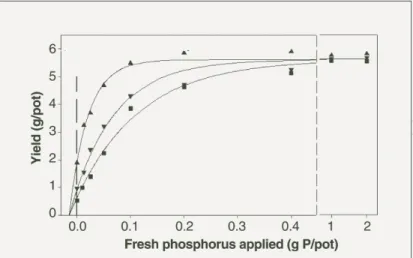 Figure 8. Relationship between yield of dried wheat shoots and the amount of fresh phosphorus applied in 1996 to samples of soil collected from a field experiment to which different amounts of P were applied once only in May 1976 (●, 0 kg P/ha;  ▼ , 86 kg 