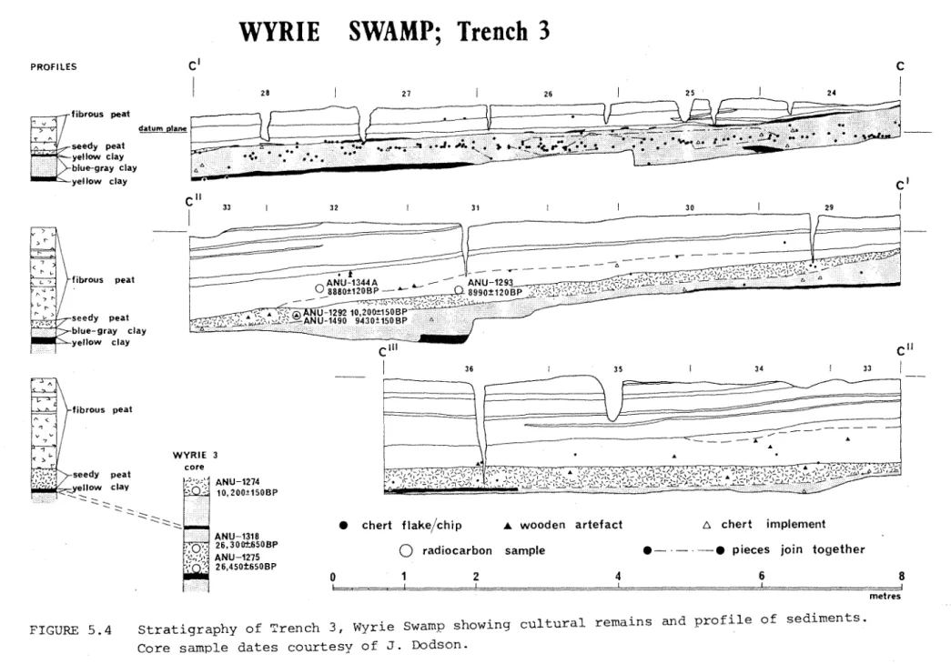 FIGURE  5.4  Stratigraphy  of  Trench  3,  Wyrie  Swamp  showing  cultural  remains  and  profile  of  sediments