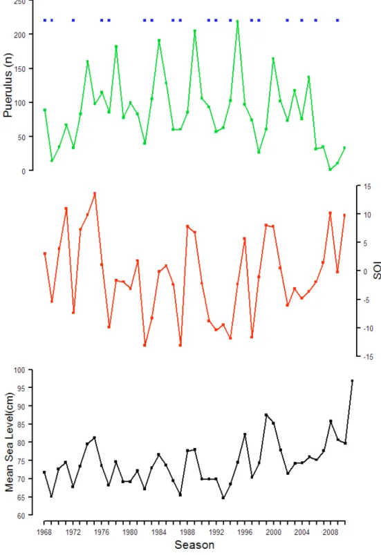 Figure 4.7–1   Mean sea level for Fremantle (black), the Southern Oscillation Index (red), and  puerulus settlement at Seven Mile (green) showing the effects of El Niño events  (blue squares) (Updated from Pearce & Phillips 1988); ENSO events as per NO