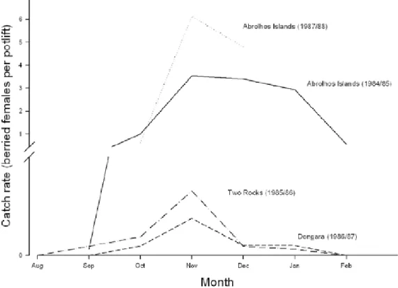 Figure 3.6–7   Monthly catch rates of berried females (number per pot lift) (adapted from Chubb 1991) 