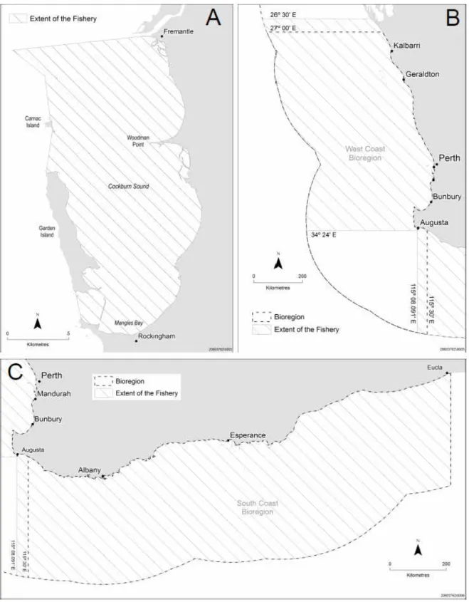 Figure 3   Management boundaries of the Octopus Fishery including A) the Cockburn Sound  Pot and Line Managed Fishery, and B) and C) the Developing Octopus Fishery