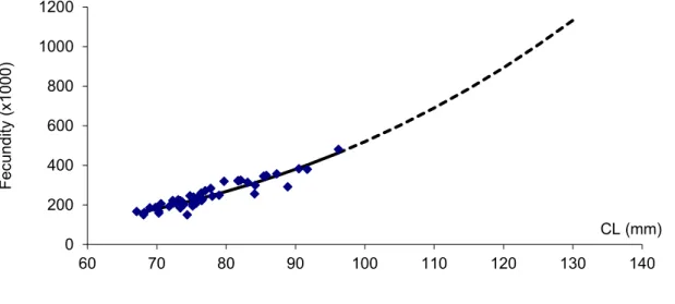 Figure 5-19   Fecundity of Panulirus cygnus in relation to carapace length (CL) Dotted  line represents  extrapolation of relationship 