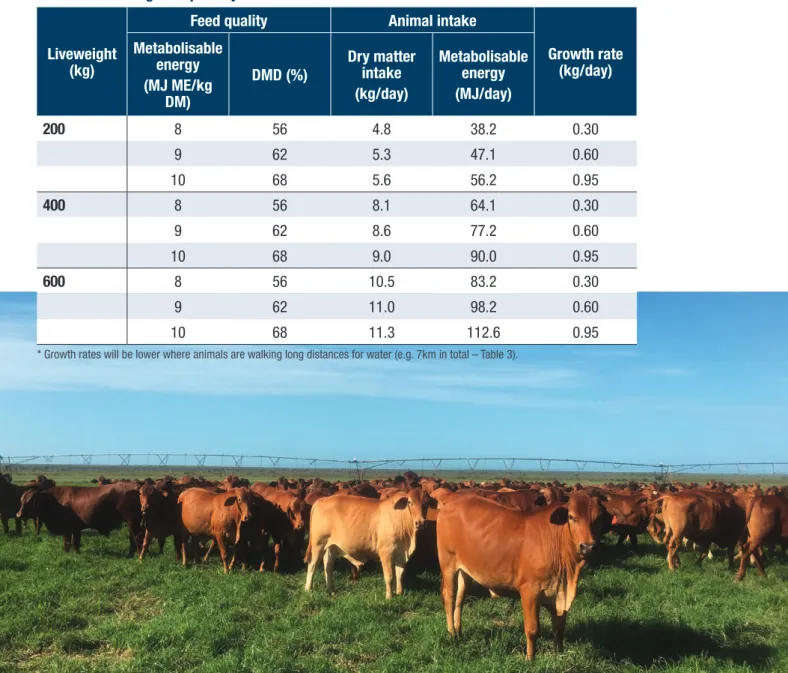 Table 2.  Indicative cattle growth rates based on MLA feed intake, liveweight and feed  quality relationships and assuming minimum protein requirements are met and that the  cattle are walking 2km per day*    