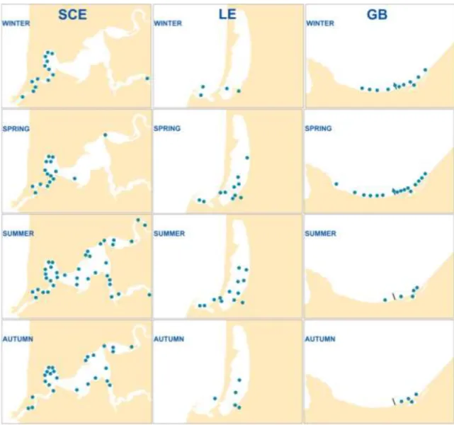 Figure  3.7.  Generalised  crabbing  locations  by  season  for  SWRCP  fishers  in  the  Swan-Canning  Estuary (SCE), Leschenault Estuary and wider Bunbury area (LE) and Geographe Bay  (GB) between June 2013 and May 2016 inclusive