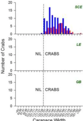 Figure 3.15.  Mean  annual  pooled  length  frequency  distributions  of  male  (█)  and  non-berried  female (█) and berried female (█) blue swimmer crabs captured by SWRCP fishers  diving/snorkelling  in  the  Swan-Canning  Estuary  (SCE),  Leschenault  