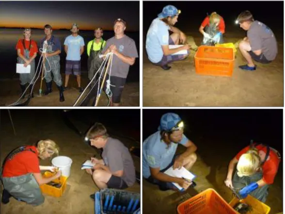 Figure 4.24.   DoF  research  staff  and  SWRCP  fishers  undertaking  juvenile  recruitment  sampling  at  Pelican Point in the Leschenault Estuary during the South West Recreational Crabbing  Project