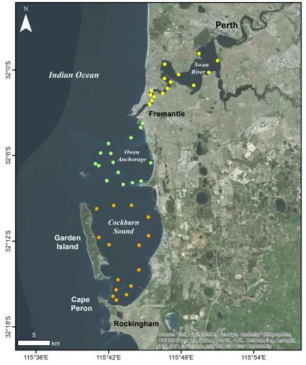 Fig 5.1.   Tagging  sites  sampled  in  the  Swan-Canning  Estuary  (●),  Owen  Anchorage  (●)  and  Cockburn  Sound  (●)  during  the  first  field  survey  between  September  and  December  2014