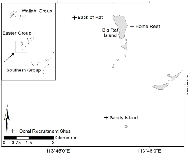 Figure 4.2.1. Abrolhos FHPA Easter Group coral recruitment sites. 