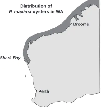 Figure 4.  Distribution of pearl oysters in WA.