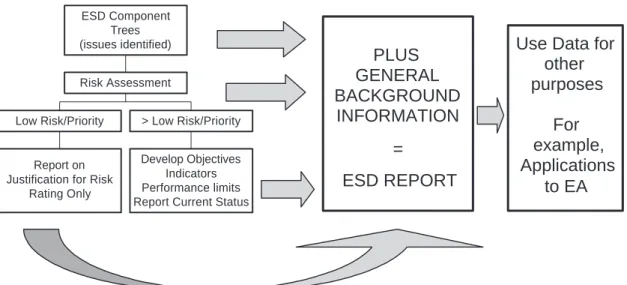 Figure 5.   Summary of the ESD reporting framework processes.