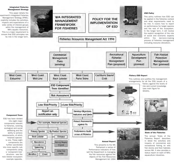 Figure 1.   Summary  of  process  for  completing  ESD  reports  and  their  relationship  with  the  annual  Report and State of Fisheries Reports.  (Example shown is for the West coast Bioregion  and the Western Rock Lobster fishery.)  