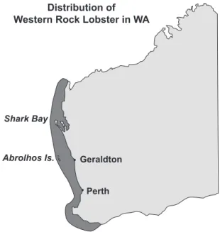 Figure 2.  Lobster Distribution.