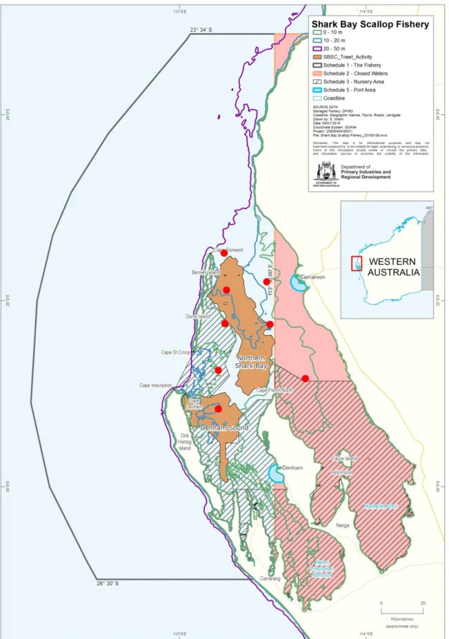 Figure 1. Map showing the main fishing grounds for scallops in Northern Shark Bay and Denham  Sound within the boundary of the Shark Bay Scallop Managed Fishery