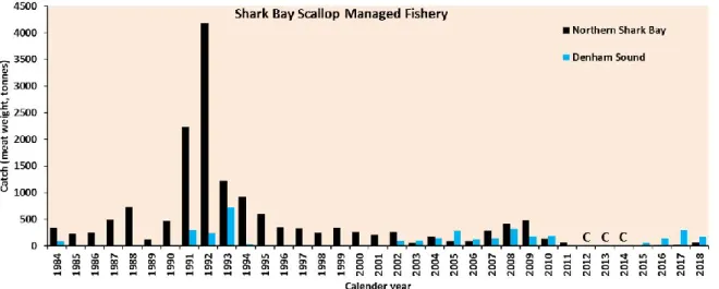 Figure 2. Catch (t, meat weight) history of  Y. balloti  from the Shark Bay Scallop Managed Fishery  1984-2018