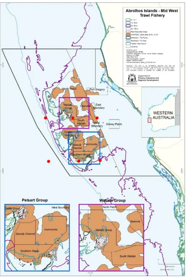 Figure 3. Main fishing grounds for scallops at the Abrolhos Islands within the boundary of the  Abrolhos Islands and Mid-West Trawl Managed Fishery