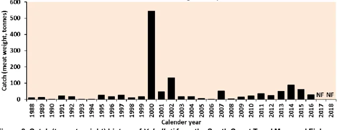 Figure 8. Catch (t, meat weight) history of  Y. balloti  from the South Coast Trawl Managed Fishery  1988-2018