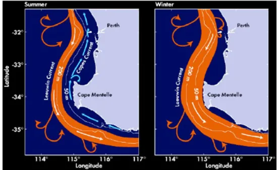 Figure  10.  Schematic  of  the  surface  summer  and  winter  current  regime  off  south-western  Australia (from Hanson et al