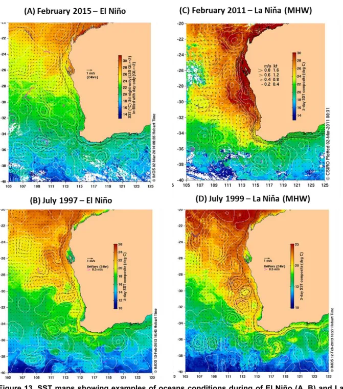 Figure 13. SST maps showing examples of oceans conditions during of El Niño (A, B) and La  Niña events (C, D) along the mid to south coast of WA