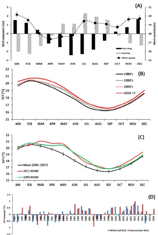Figure  21.  (A)  Mean  monthly  wind  speed  (km/hr  ±S  E)  (1969-2017)  and  directional  wind  components  recorded  at  Esperance  weather  station  (B)  Decadal  trends  in  mean  monthly  SST  (C) Monthly  mean  SST  during  the  1999  and  2011  MH