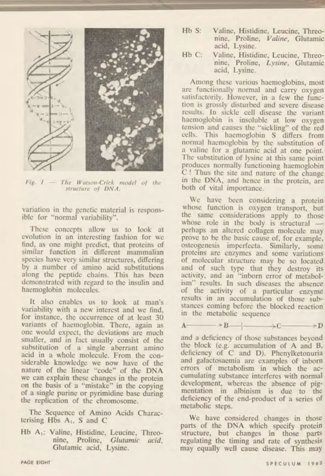 Fig. 1 — The Watson-Crick model of the  structure of DNA. 
