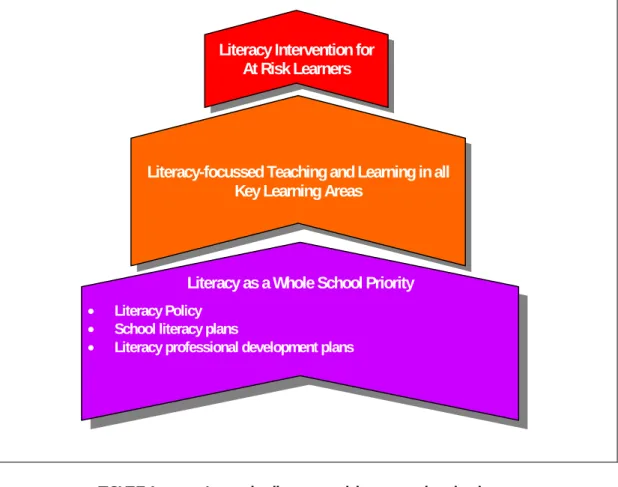 FIGURE 4:  Integrating literacy provision across three levels. 
