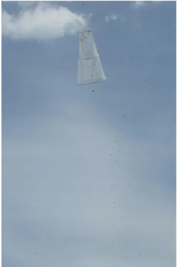 Figure 4-3.  A Williams drone trap in the air at a drone congregation area (DCA). The  trap is elevated so that the base of the trap is 10-15 m above the ground