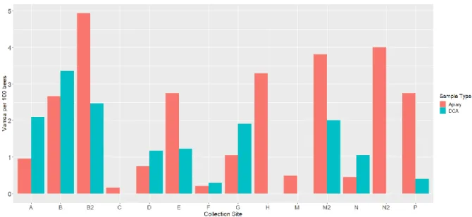 Figure 4-5.  Varroa destructor count per 100 bees from DCAs (blue) and their nearest  apiary (red)