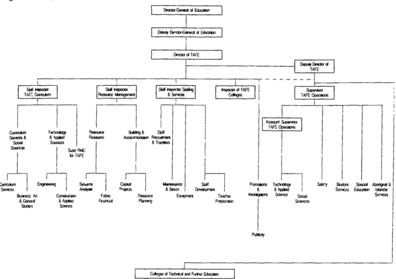 Figure 4 Organisational structure —  D i v i s i o n of  T A F E 