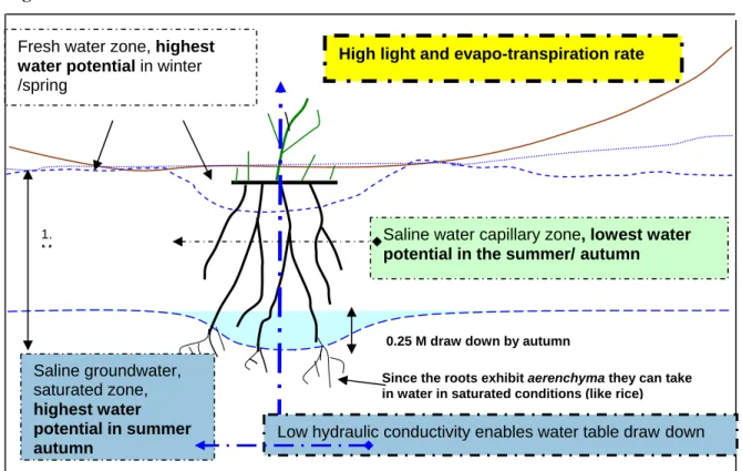 Figure 3.3 b Water Use Summer- Autumn 