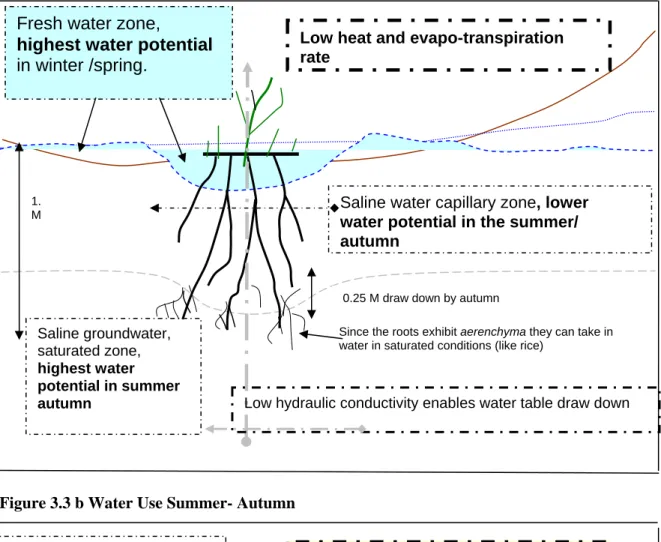 Fig 3.3 a Water Use in the Winter - Spring 