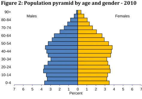 Figure 2: Population pyramid by age and gender - 2010 
