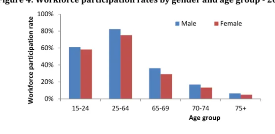 Figure 4: Workforce participation rates by gender and age group - 2010 