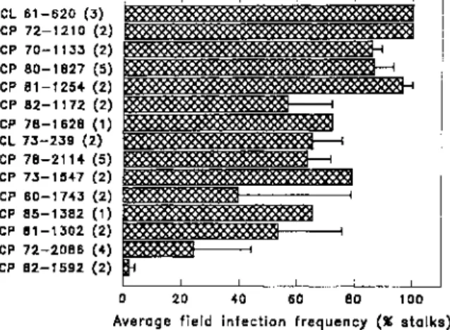 Figure 1. RSD field infection frequency (% stalks) means and standard errors of sugarcane  cultivars sampled from commercial seedfields lacking any hot-water-treatment