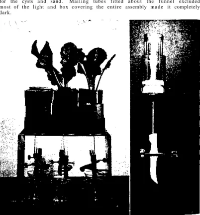 Figure 1-A (left). Frame holding funnels enclosed in mailing tubes,  two small beets in place