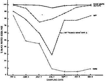 Figure 1.—Incidence of black root pathogens in sugar beet soil (2 years)  cropped to alfalfa, corn, oat, and sugar beets at Hoytville, Ohio, during 1955