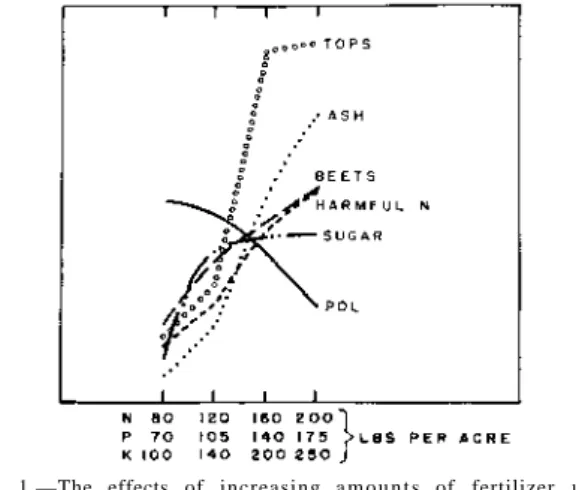 Figure 1.—The effects of increasing  a m o u n t s of fertilizer  u p o n sugar  beets (Ludecke)
