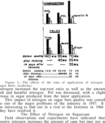 Figure 3.—The effects of the time of application of nitrogen  u p o n  sugar beets (Ludecke)