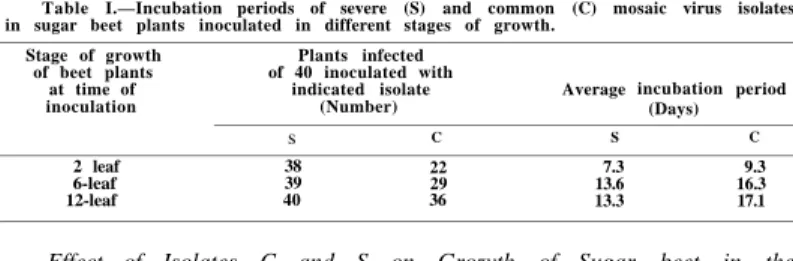 Table I.—Incubation periods of severe (S) and common (C) mosaic virus isolates  in sugar beet plants inoculated in different stages of growth