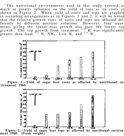 Figure 1.—Yield of sugar beet roots as affected by nutritional en- en-vironment 1960. 