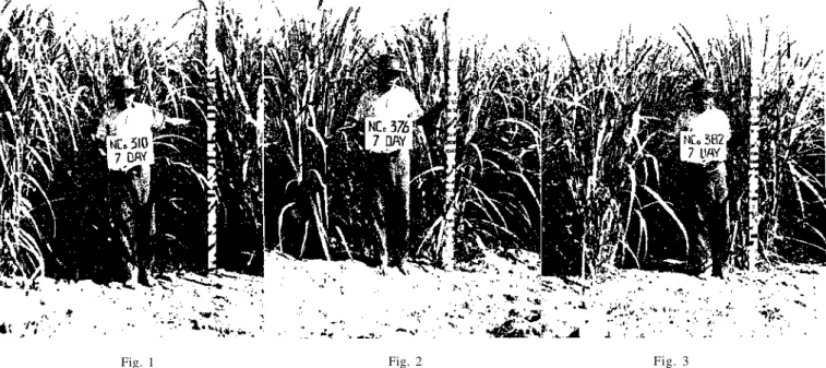 Fig. 1  Fig. 2  Fig. 3 