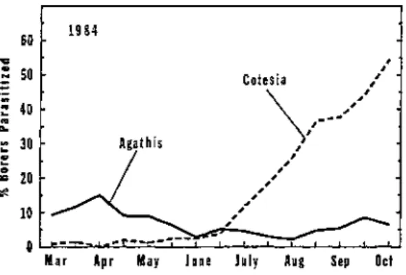 Figure 4. Activity of Aqathis stigmatera and Cotesia flavipes against sugarcane  borers in Florida during 1984
