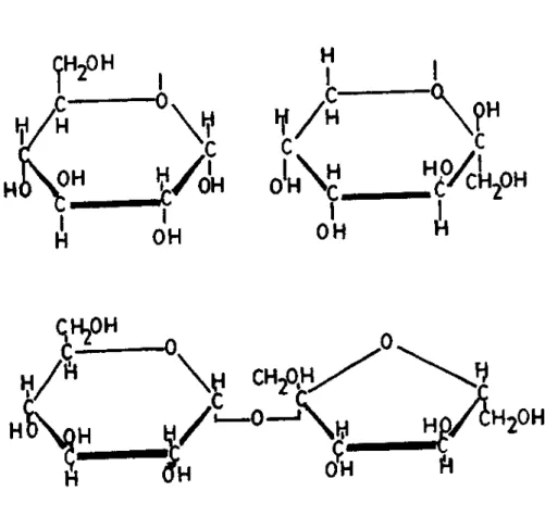 Fig. 3. GLUCOSE, FRUCTOSE  A N D SUCROSE. 
