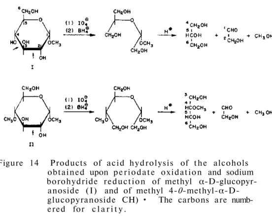 Figure 14 Products of  a c i d  h y d r o l y s i s of the alcohols  obtained upon  p e r i o d a t e  o x i d a t i o n and sodium  borohydride  r e d u c t i o n of methyl 