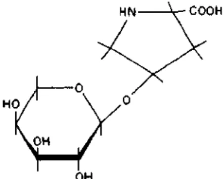 Figure 12 The O -glycosidic  l i n k a g e between L-arabinose  and 4-hydroxy-L-proline
