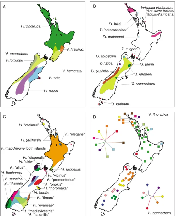 Figure 2 New Zealand biogeography*the weta exemplar. In keeping with observations of the distribution of plant endemicity, the distribution of diversity in many New Zealand taxa has a South Island bias