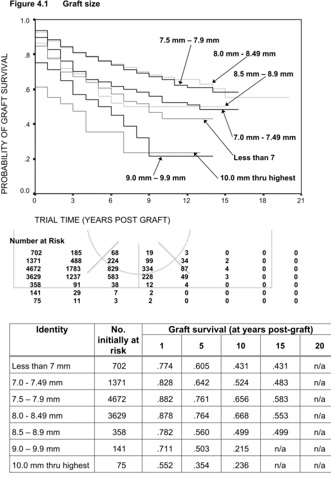 Figure 4.1  Graft size 