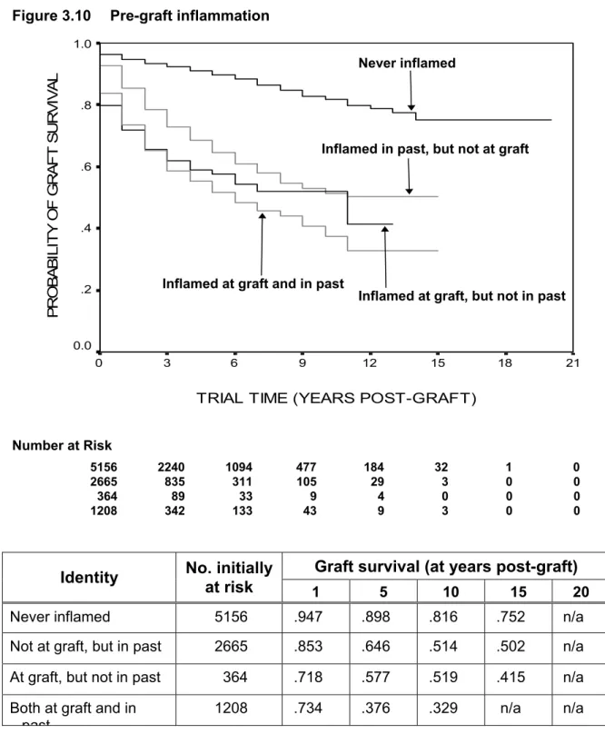Figure 3.10 shows the effect on graft outcome of first ipsilateral grafts where the eye  had never been inflamed, compared with eyes that were inflamed at graft, or that had  a history of inflammation in the past