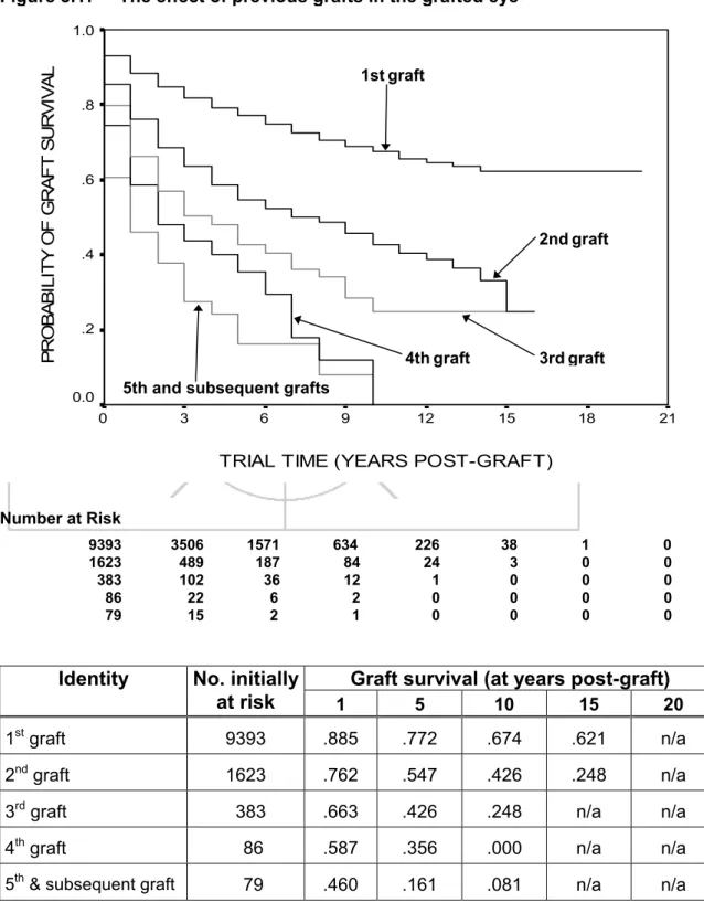 Figure 3.17  The effect of previous grafts in the grafted eye 